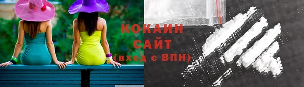 соль ск Алзамай