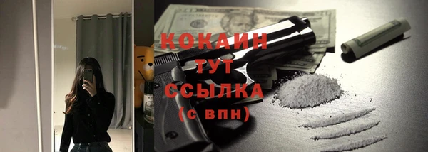 соль ск Алзамай