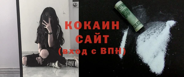 соль ск Алзамай