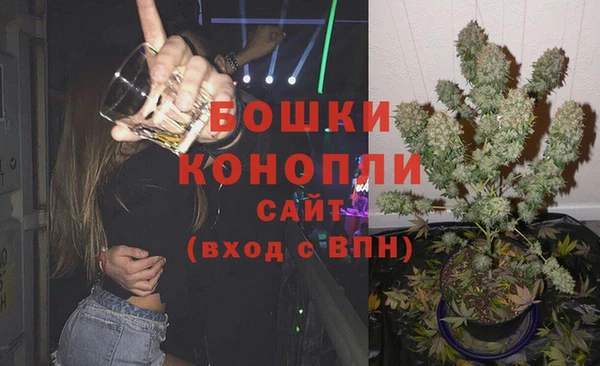 не бодяженный Новозыбков