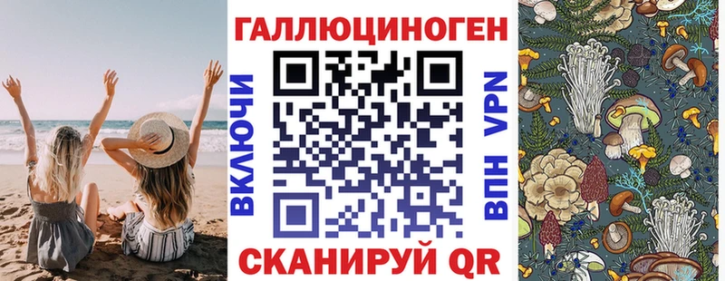 МЕГА ССЫЛКА  Сосновка  Галлюциногенные грибы MAGIC MUSHROOMS 